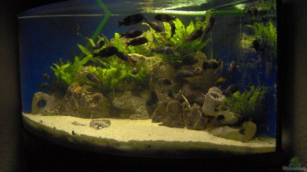 Zum Beispiel Becken 10623