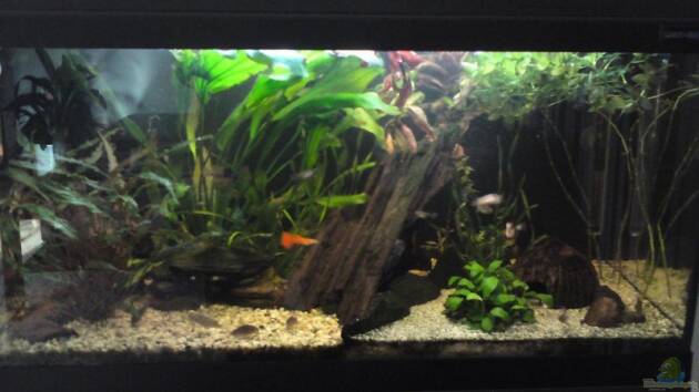 Zum Beispiel Becken 10768