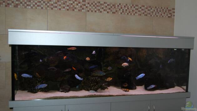 Zum Beispiel Becken 1083