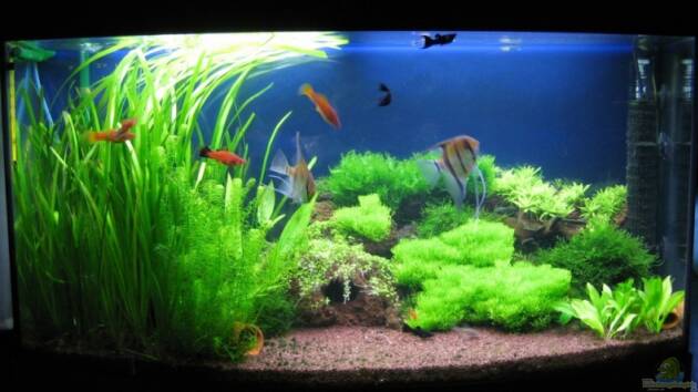 Zum Beispiel Becken 1090