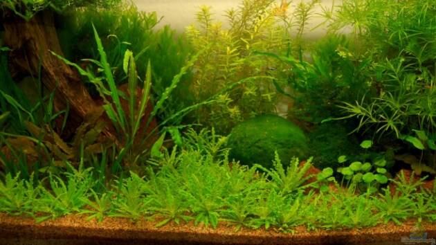 Zum Beispiel Becken 10912