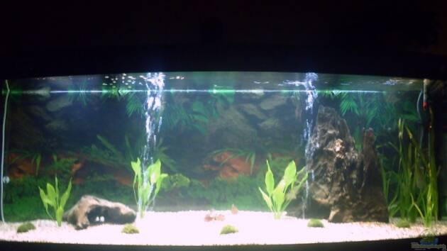 Zum Beispiel Becken 11017