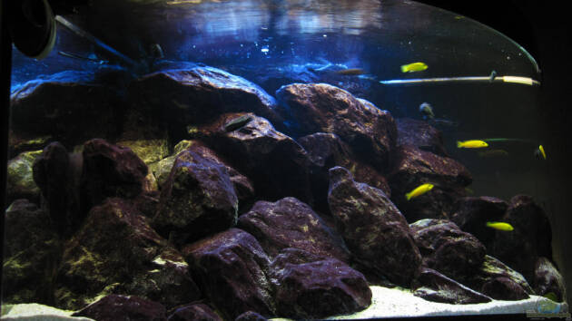 Zum Beispiel Becken 11223