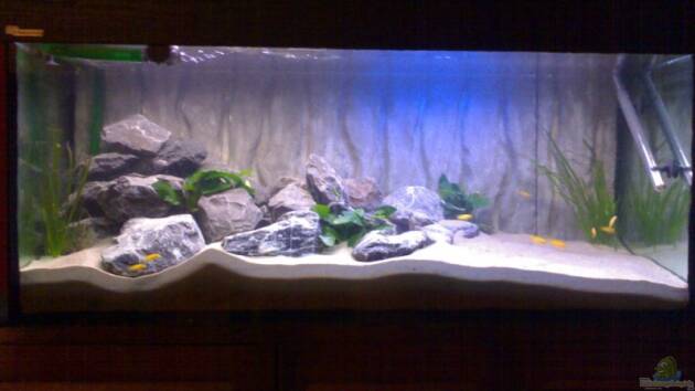 Zum Beispiel Becken 11253