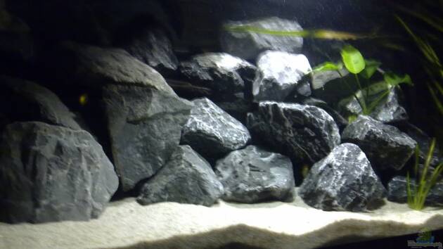 Zum Beispiel Becken 11362 Nur noch als Beispiel