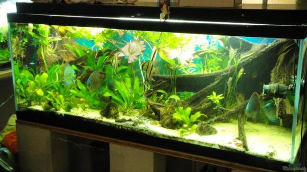 Zum Beispiel Amazonas (Existiert nicht mehr)