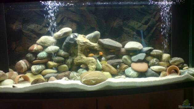 Zum Beispiel Becken 11519