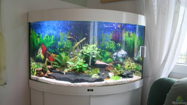 Zum Beispiel Becken 11650