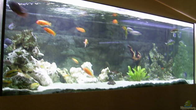 Zum Beispiel Becken 1166