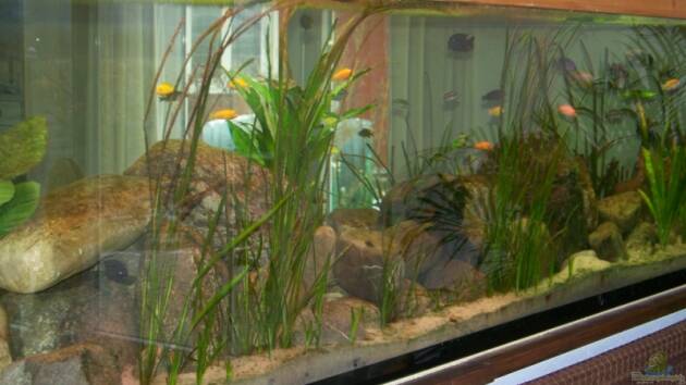 Zum Beispiel Becken 11773