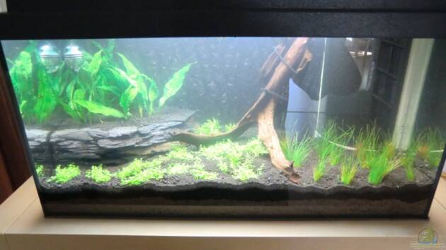 Zum Beispiel Becken am kwai