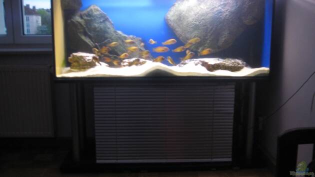 Zum Beispiel Becken 12035