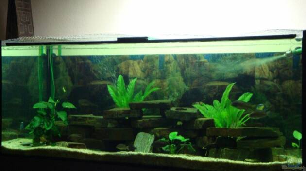 Zum Beispiel Becken 12205