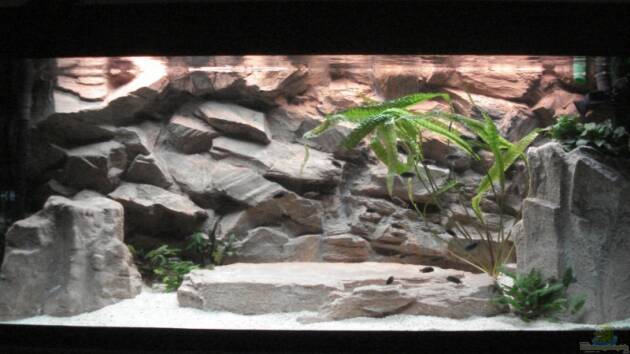 Zum Beispiel Becken 12231