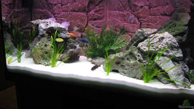 Zum Beispiel Becken 12520