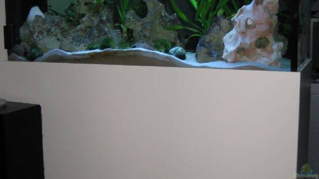 Zum Beispiel Becken 12695