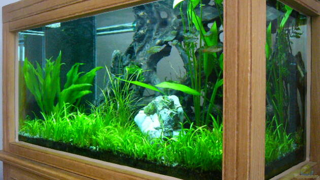 Zum Beispiel Becken 1279