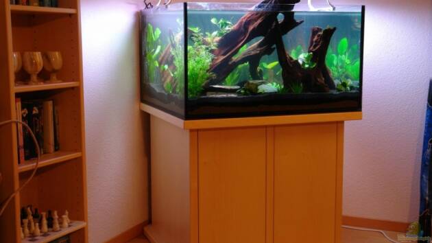 Zum Beispiel Becken 12899