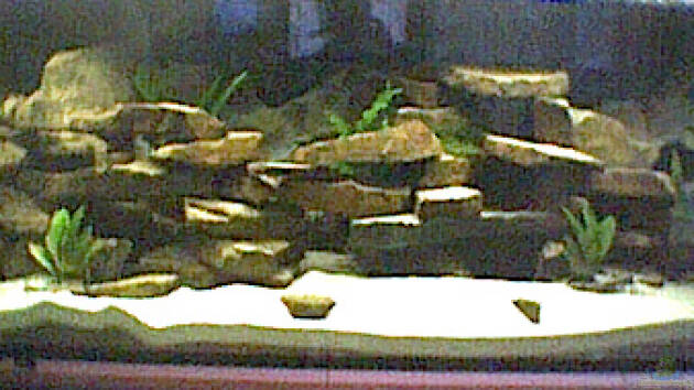 Zum Beispiel Becken 129