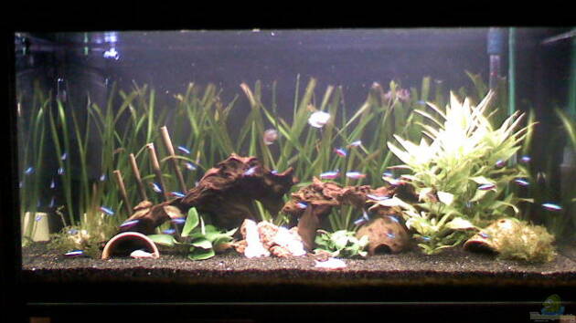 Zum Beispiel Becken 12903