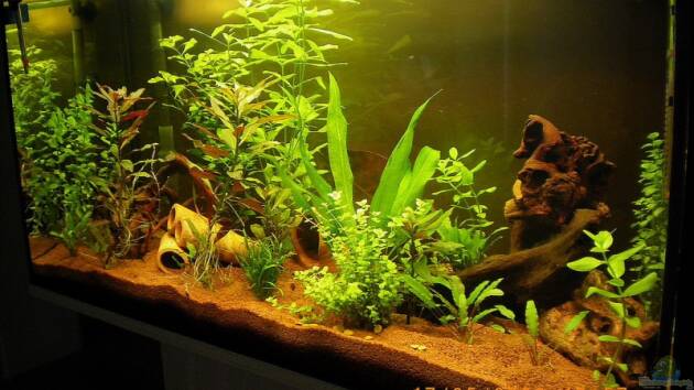 Zum Beispiel Manu seins -)