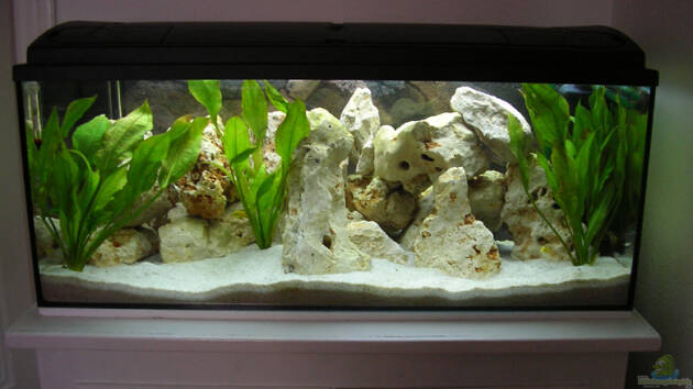 Zum Beispiel Becken 1320