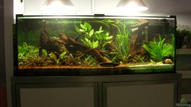 Zum Beispiel Becken 13211 (nur noch als Beispiel)