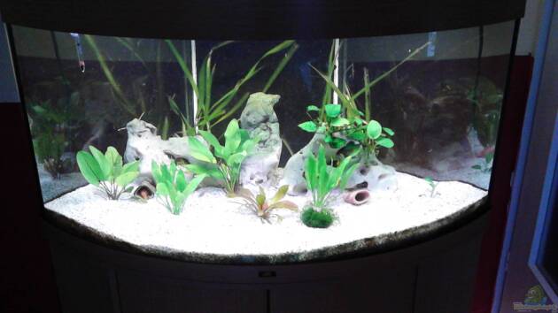 Zum Beispiel zukünftiges Diskusbecken