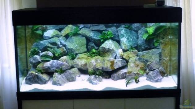 Zum Beispiel Becken 1333