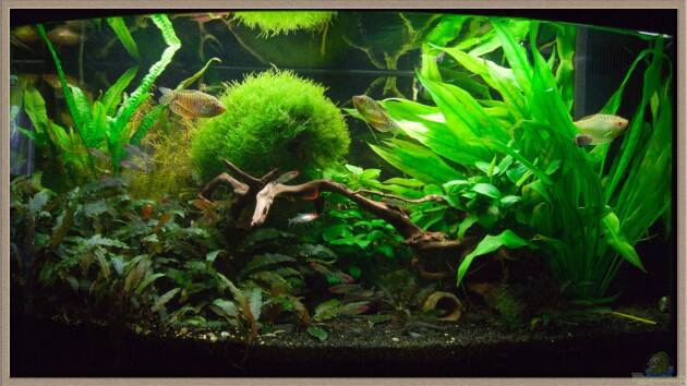 Zum Beispiel Sebastian's Vision 180