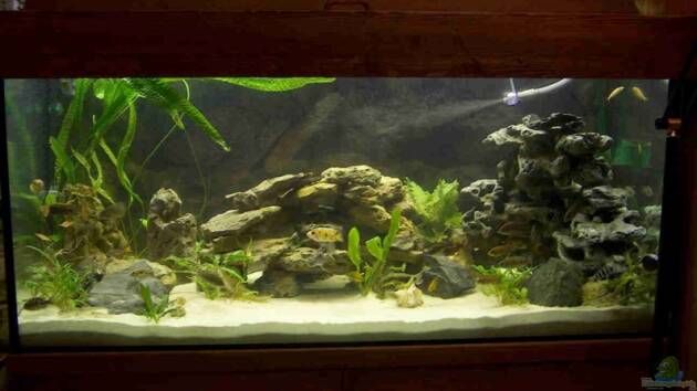 Zum Beispiel Becken 1337