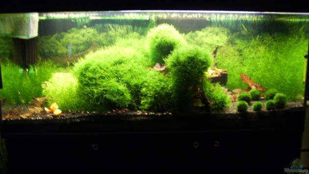 Zum Beispiel Mein Traumbecken