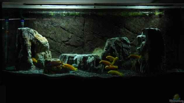 Zum Beispiel i love stones ;) Aufgelöst