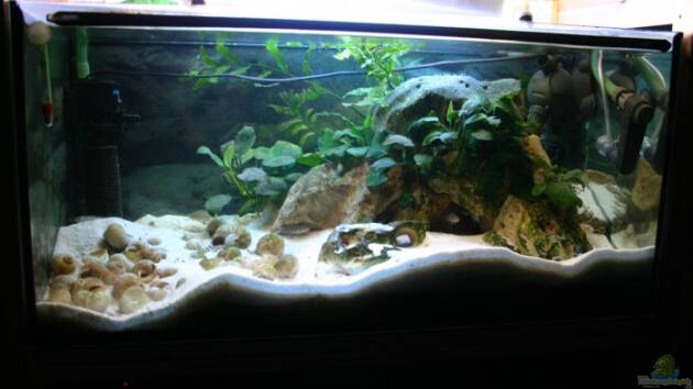 Zum Beispiel Becken 1357