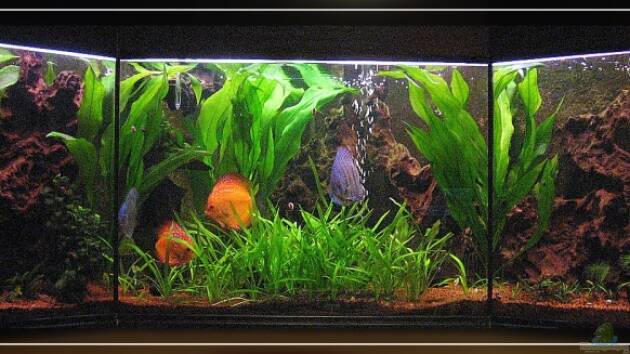 Zum Beispiel Becken 13613