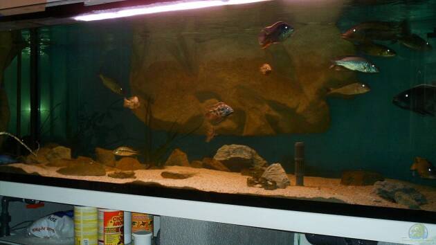 Zum Beispiel Becken 14013