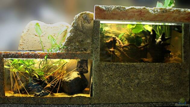 Zum Beispiel Wasserfall-Biotop(nur noch als Beispiel)