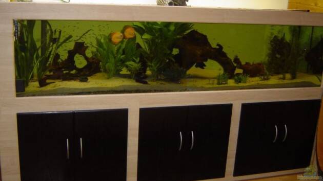 Zum Beispiel Becken 1448