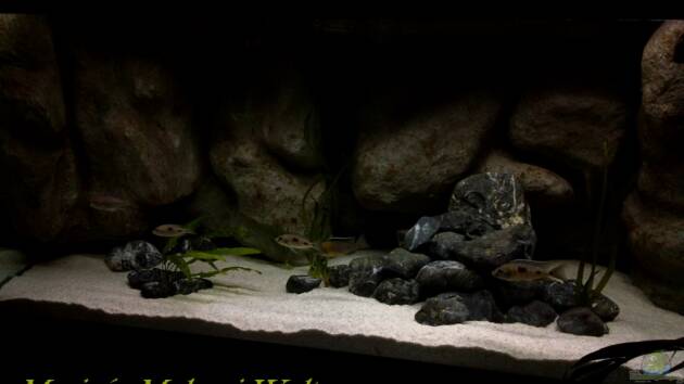 Zum Beispiel Mario´s Malawi Welt