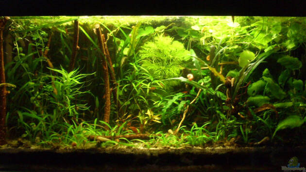 Zum Beispiel Becken 14949