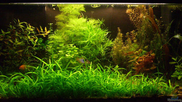 Zum Beispiel Becken 14956