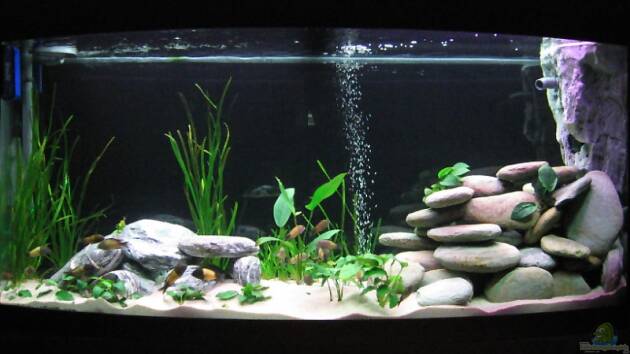 Zum Beispiel Becken 1544