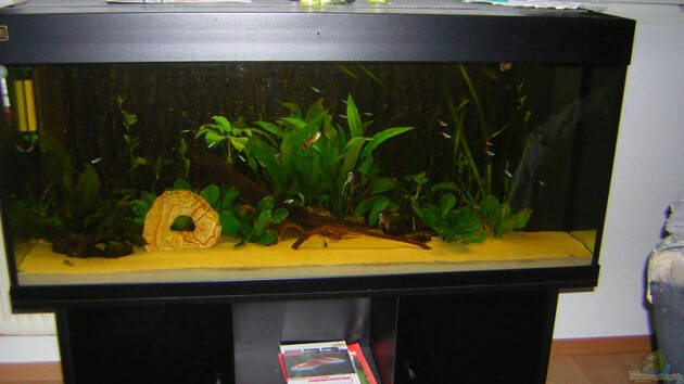 Zum Beispiel Becken 1559