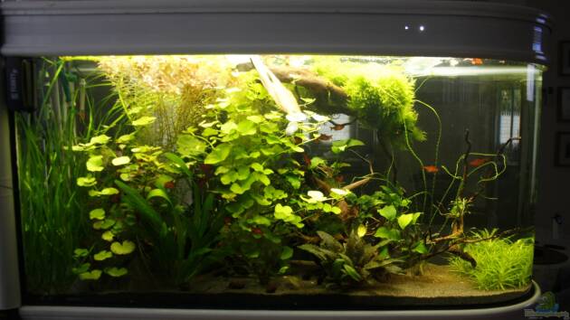 Zum Beispiel Raumteiler