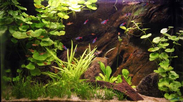 Zum Beispiel Südamerikabecken