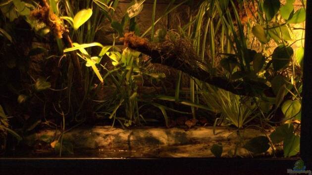 Zum Beispiel Fuzzles Home (nur noch als Beispiel)