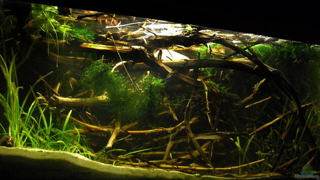 Zum Beispiel Rebenholz, Dreck und Natur