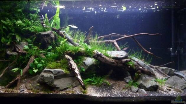 Zum Beispiel 112l Tief im Dunkel