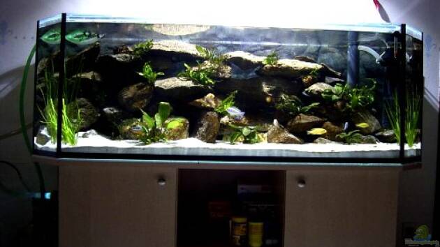 Zum Beispiel Becken 1796