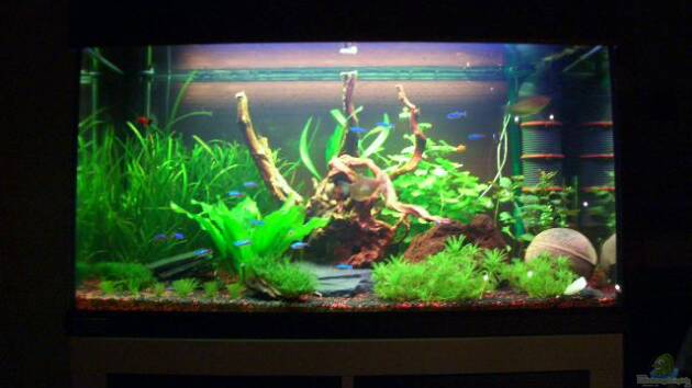 Zum Beispiel Becken 18228